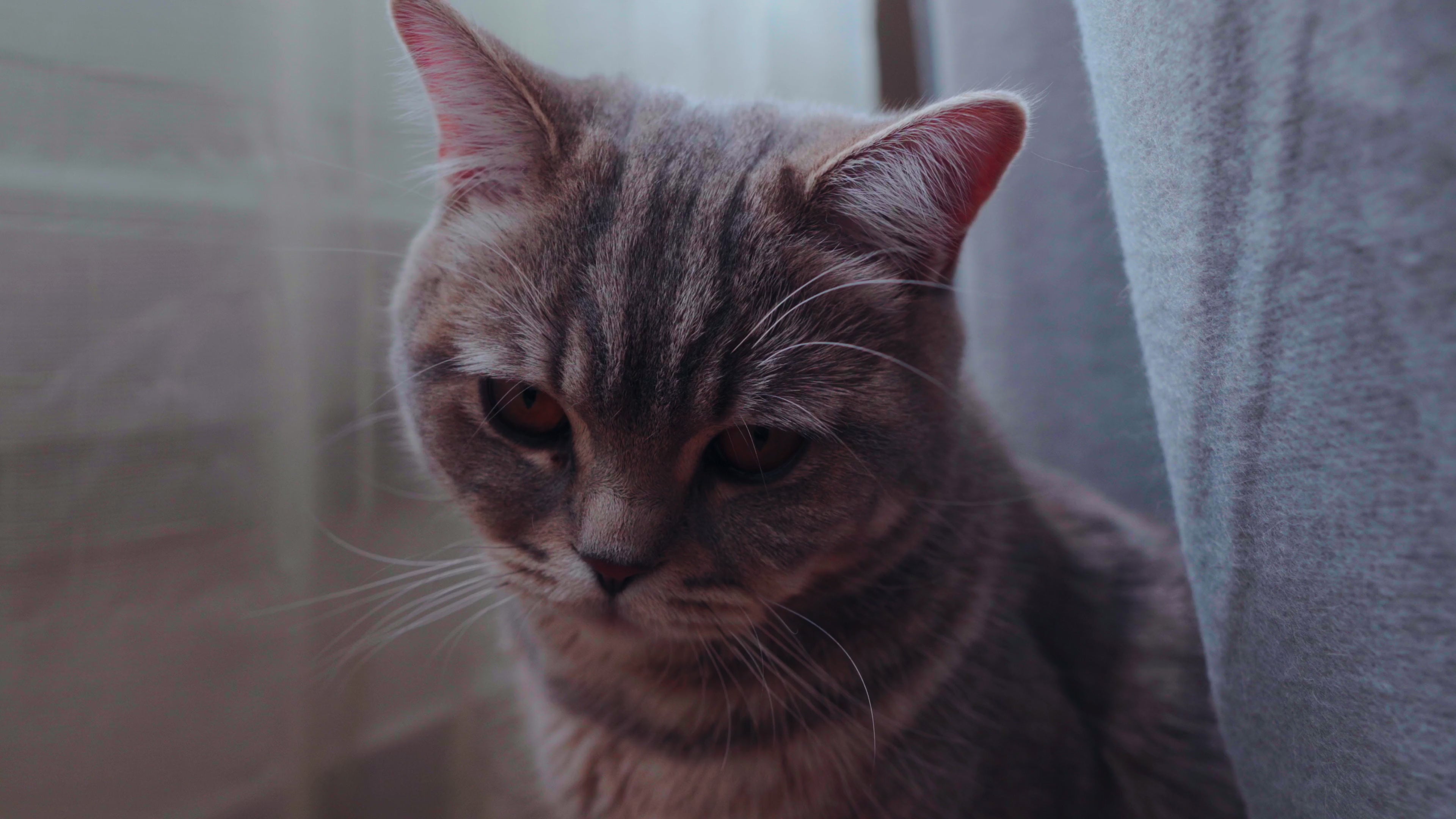 Video laden: 